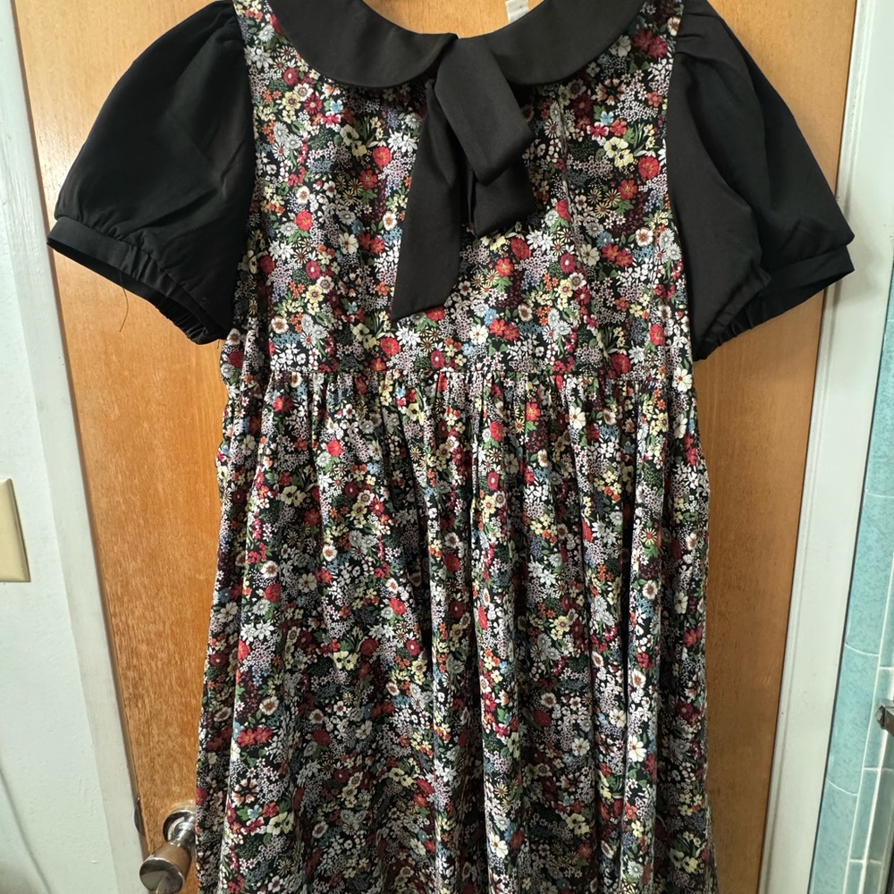Unique Vintage Black and Floral Babydoll Dress with Peter Pan Collar (Used)